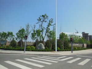 Road greening project of lechuan street in Weifang City